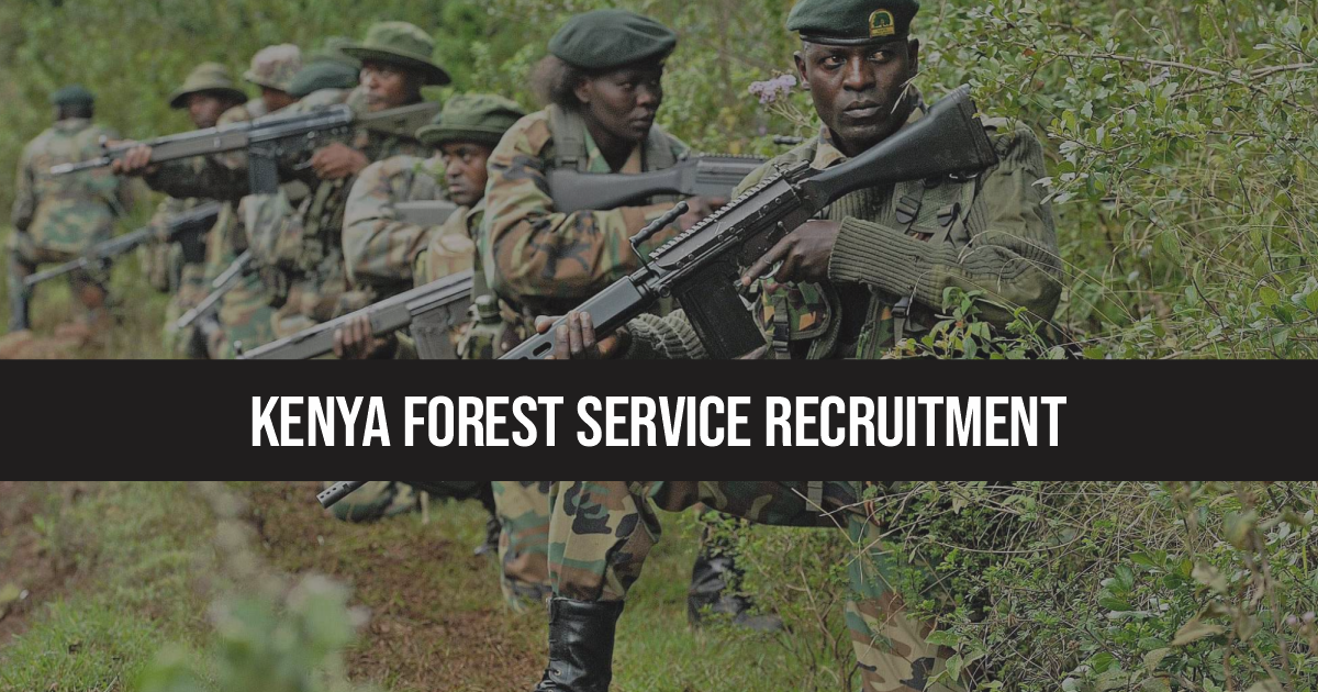 Kenya Forest Service Recruitment 2023/2024 KFS Job Portal