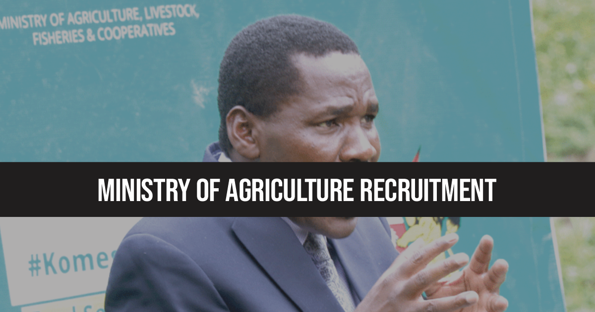Ministry of Agriculture Recruitment 2023/2024 Jobs in Kenya Today