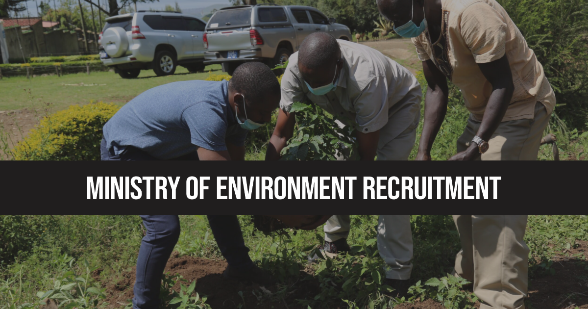Kenya Ministry of Environment Recruitment 2024/2025 Jobs in Kenya